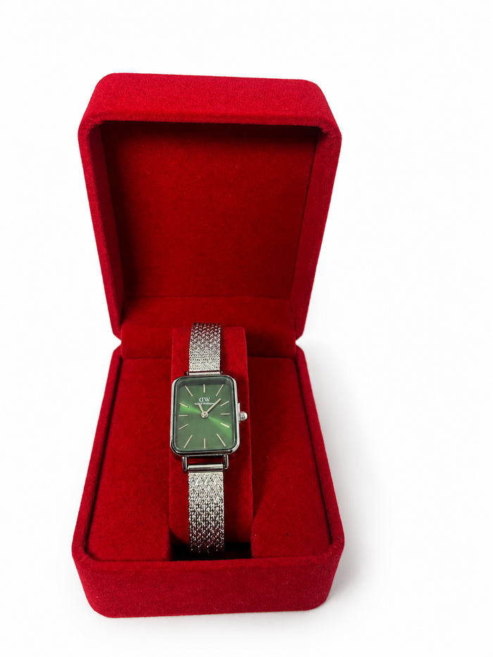Daniel Wellington Femme Argentée